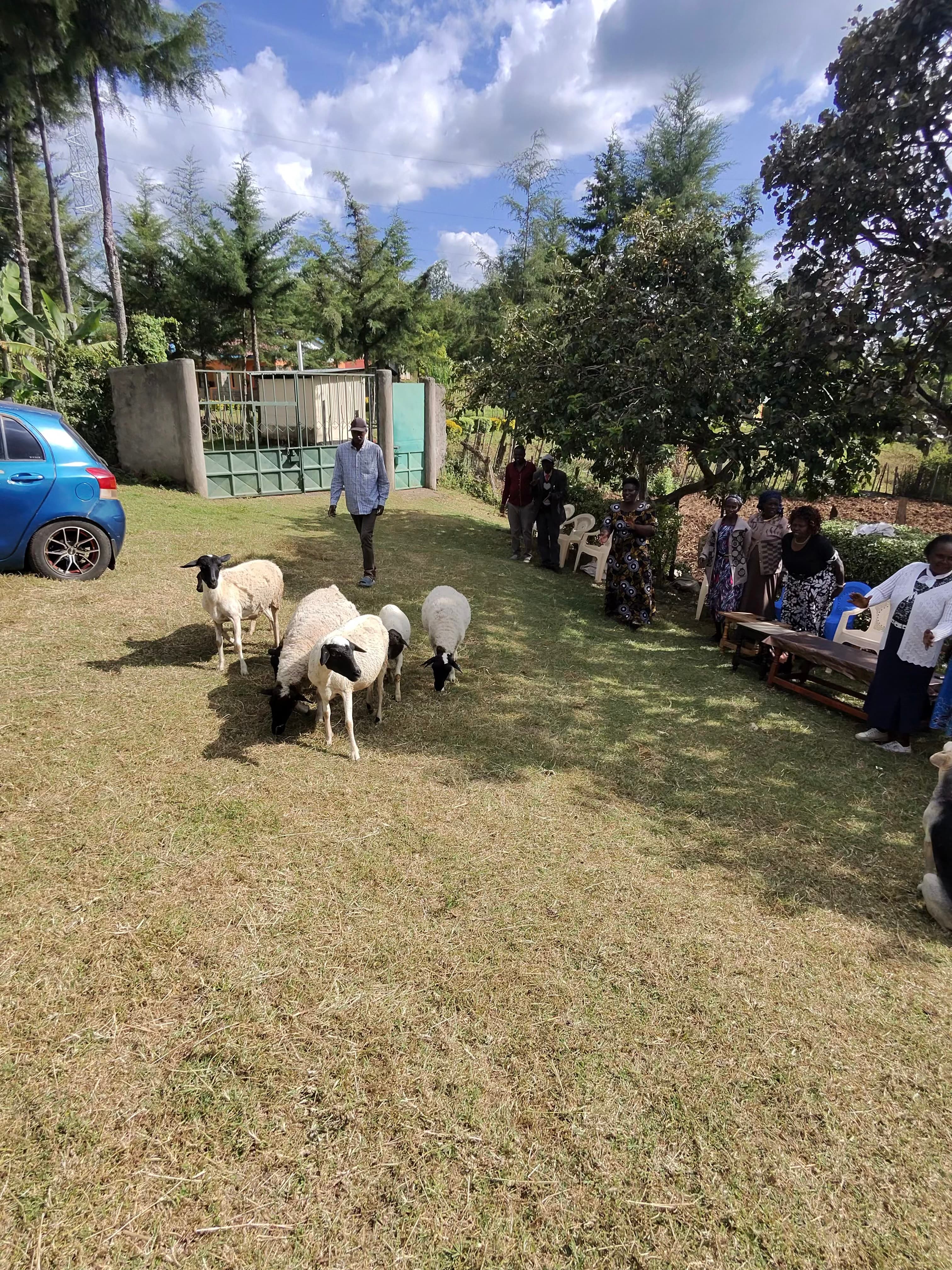 Livestock Program Expansion